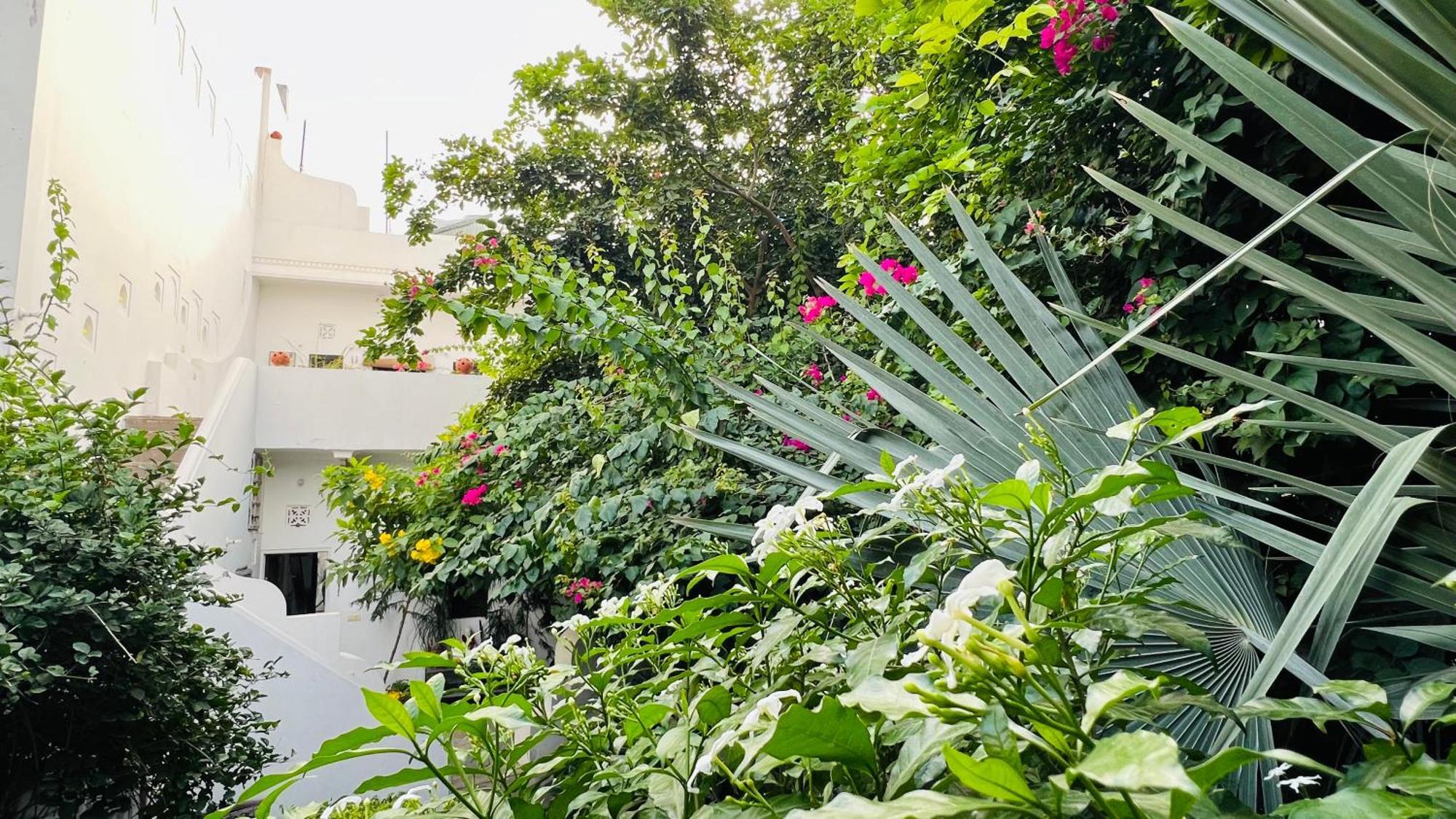 Mosaics Guest House Jaipur Luaran gambar