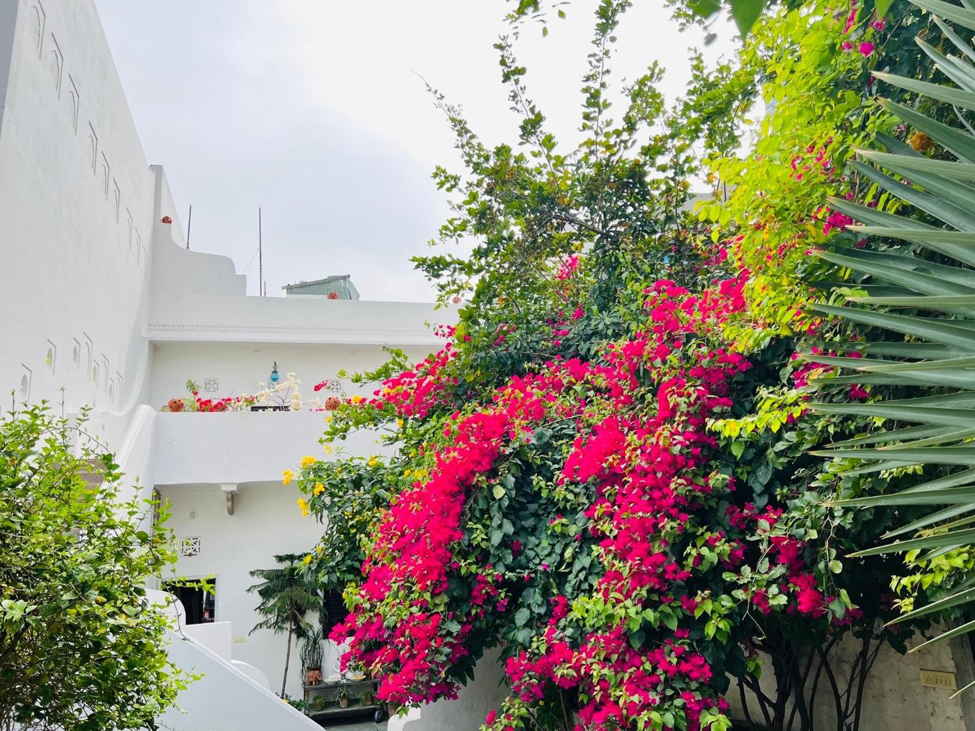 Mosaics Guest House Jaipur Luaran gambar