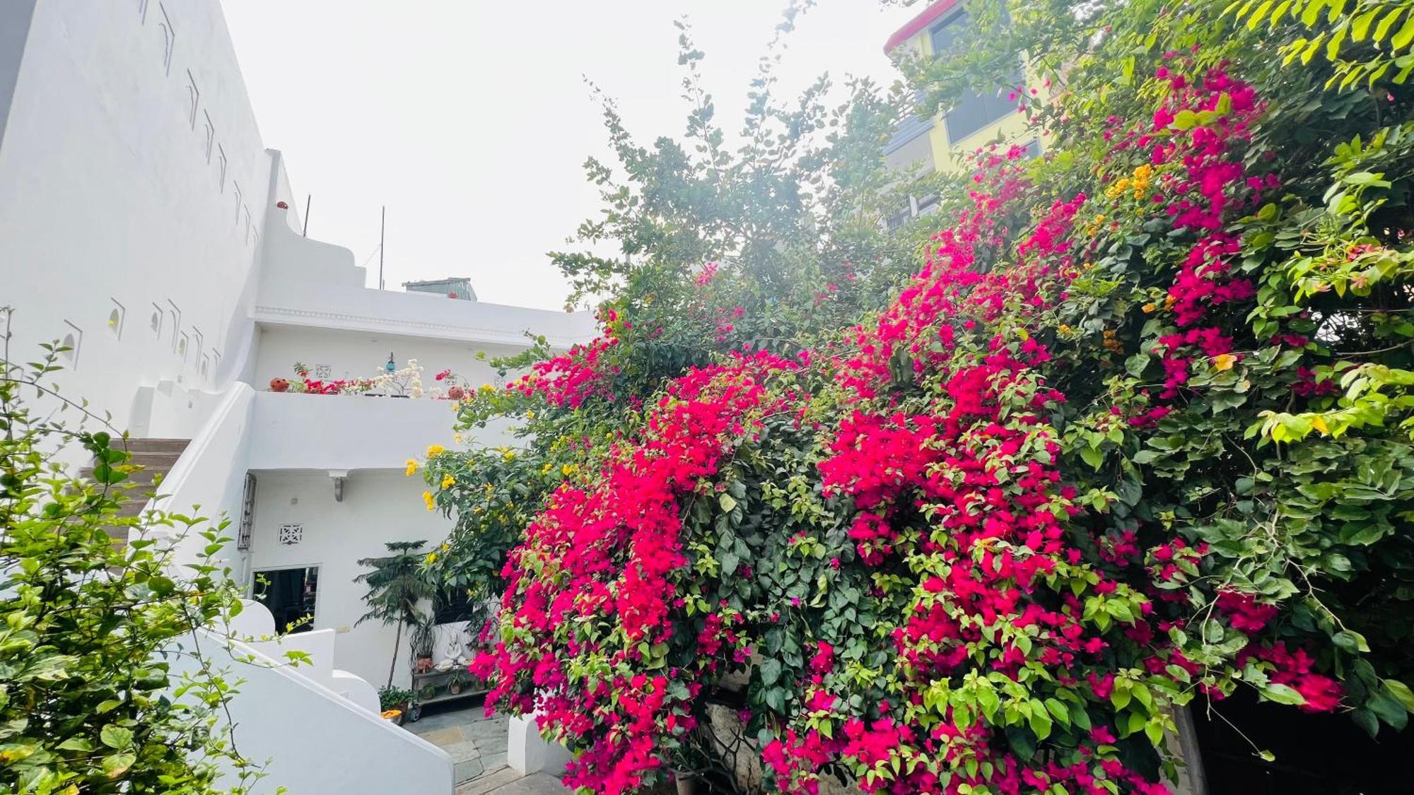 Mosaics Guest House Jaipur Luaran gambar
