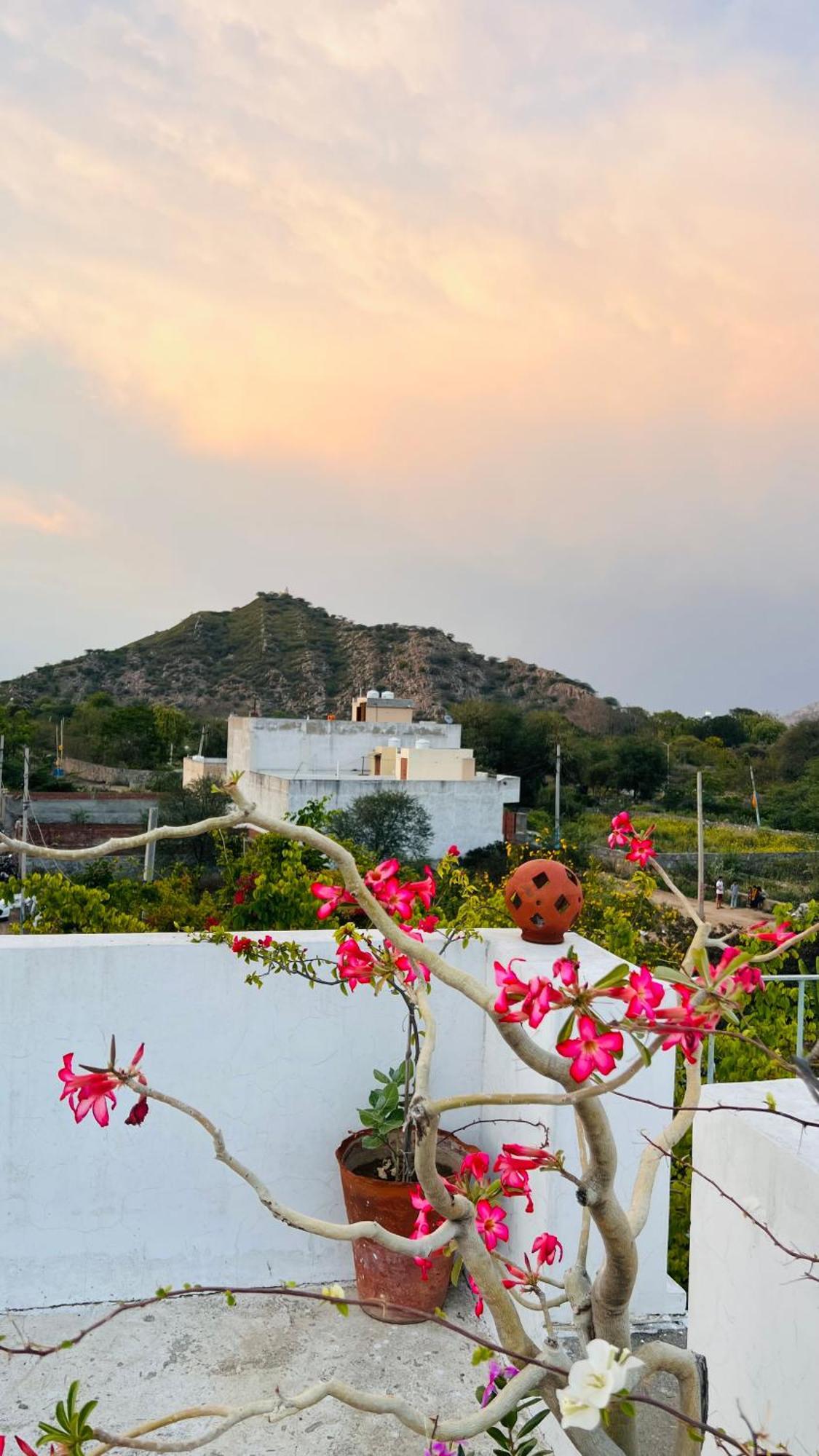 Mosaics Guest House Jaipur Luaran gambar