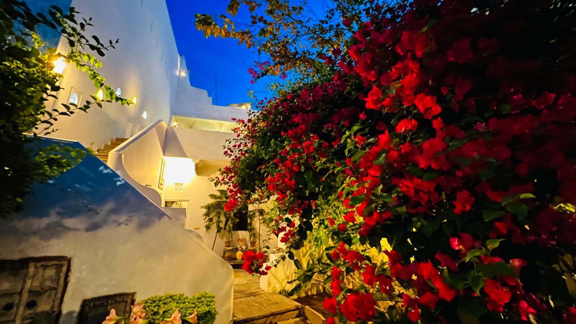 Mosaics Guest House Jaipur Luaran gambar